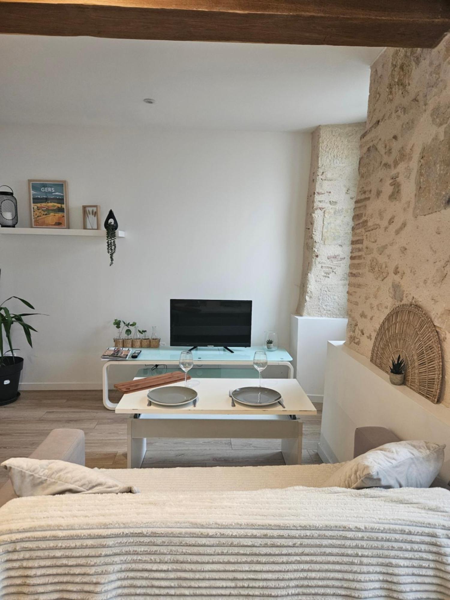 Appartement Centre Historique D'Auch Ngoại thất bức ảnh